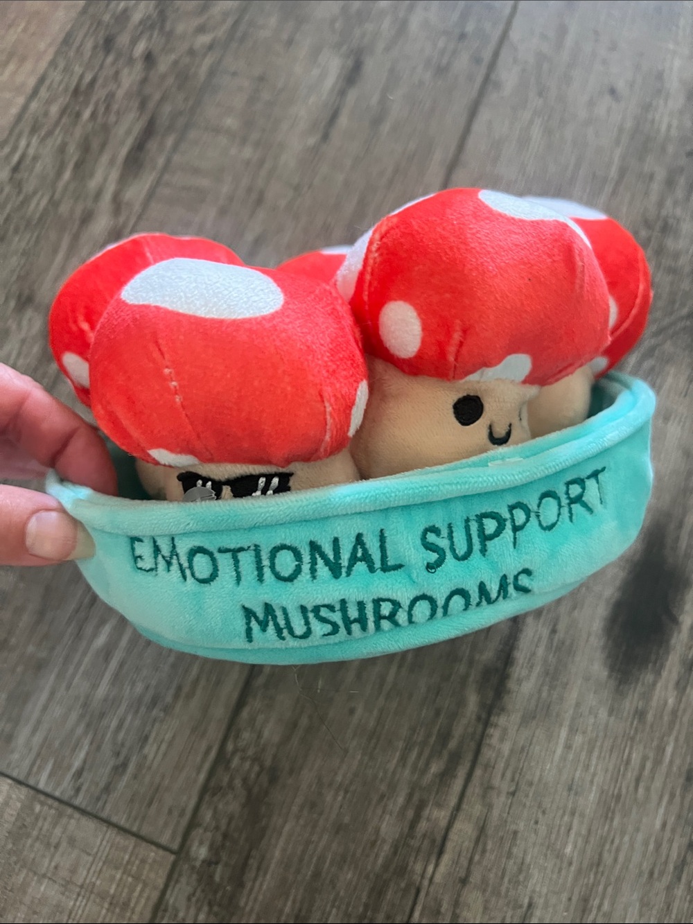 Emotional Support Mushrooms Plush